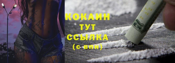 твердый Михайловка
